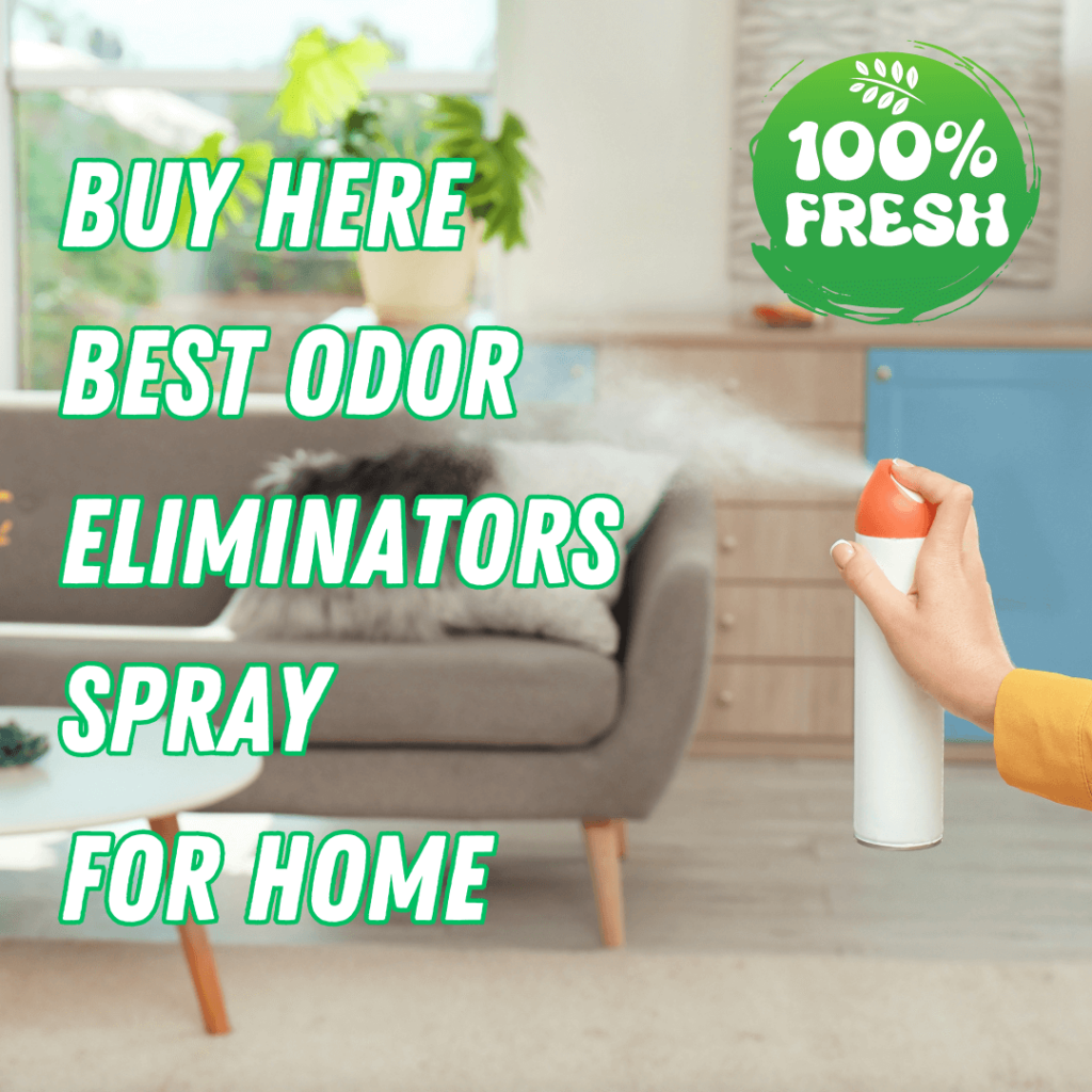 Conquering Odors: Top Eliminators for Your Home